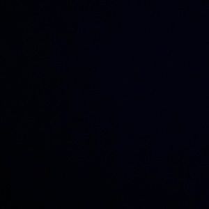 Meet your Posher, Sammy